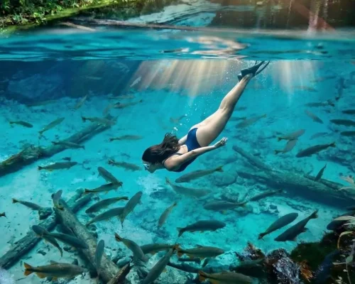 Aquário Encantado e Rio Salobra