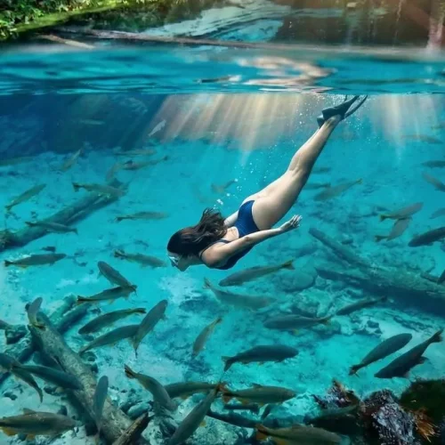 Aquário Encantado e Rio Salobra