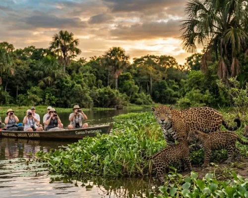 Experiência de Safári no Pantanal Norte 2026