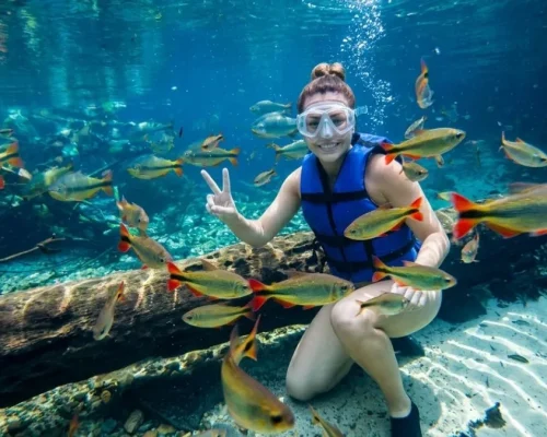 ecoturismo em Nobres MT
