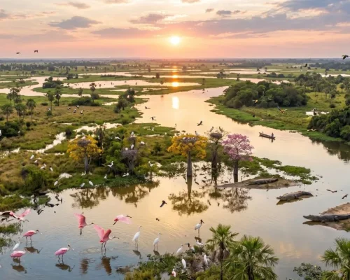 quanto custa viajar para o Pantanal tabela de preços e orçamento de safári em 2026