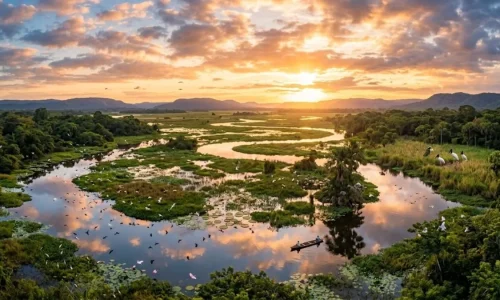 Luxo no Pantanal Norte 2026: Lodges e Experiências VIP