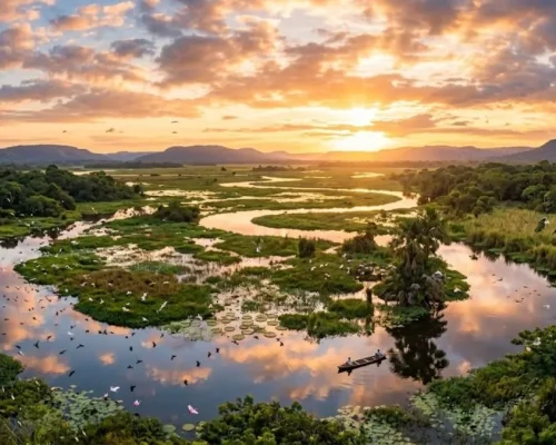Luxo no Pantanal Norte 2026: Lodges e Experiências VIP