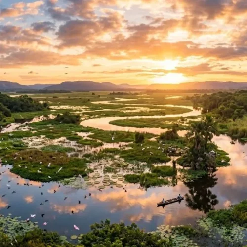 Luxo no Pantanal Norte 2026: Lodges e Experiências VIP