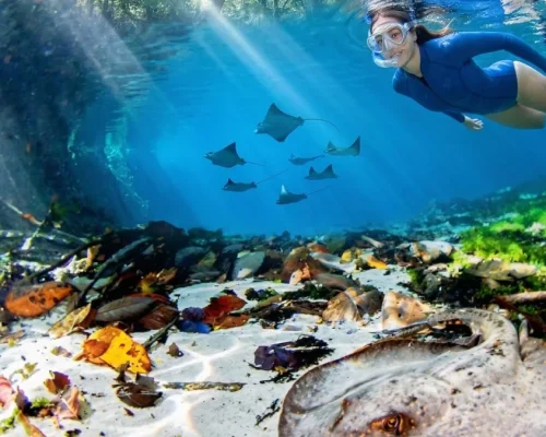 flutuação no Rio Triste em Nobres