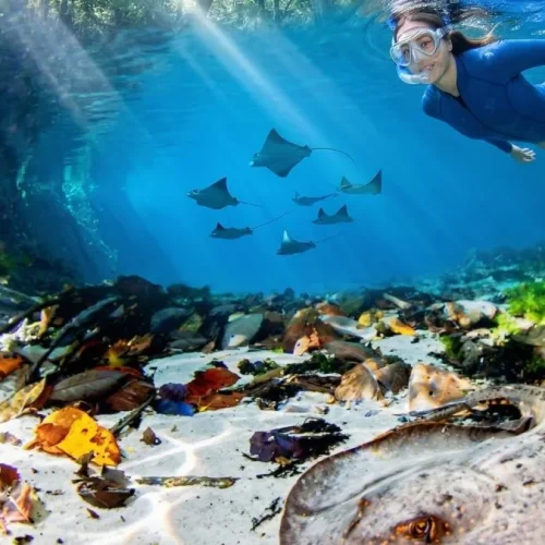 flutuação no Rio Triste em Nobres