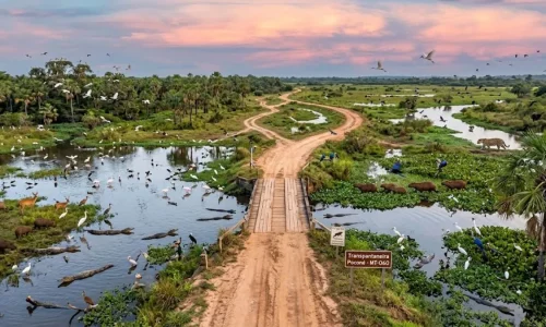 Rodovia Transpantaneira Poconé 2026: Guia VIP de Acesso