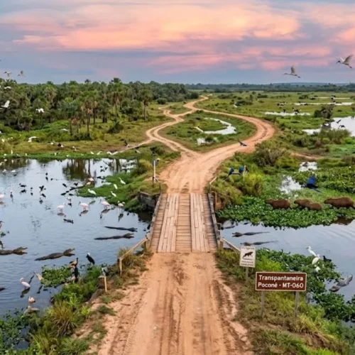Rodovia Transpantaneira Poconé 2026: Guia VIP de Acesso